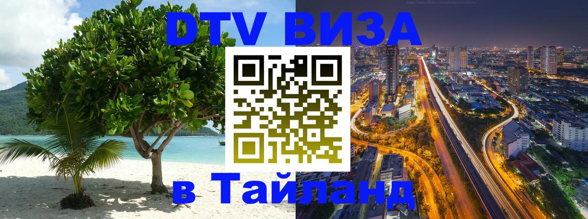 DTV Visa Тайланд купить Челябинск 